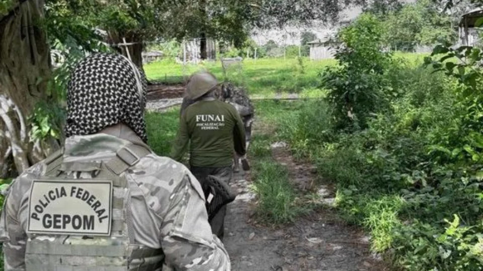 Invasores são retirados de terras indígenas Pacaás em RO
