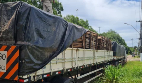 Carga de madeira ilegal é apreendida pela PRF, em Marabá (PA)
