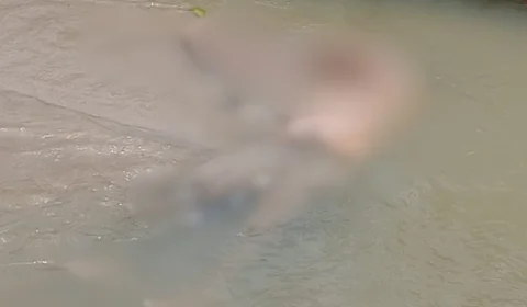 VÍDEO: corpo é encontrado dentro de igarapé na zona leste de Manaus