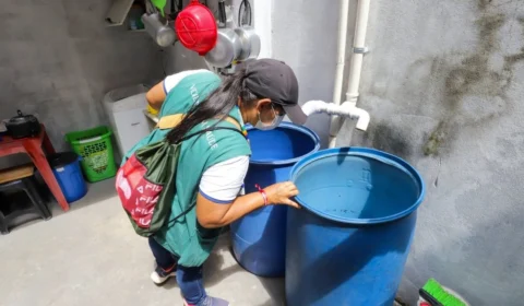 Novos dados revelam situação atual das arboviroses em Manaus