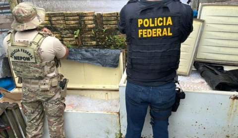 PF apreende mais de 400 kg de pirarucu e oito pacas no Amazonas