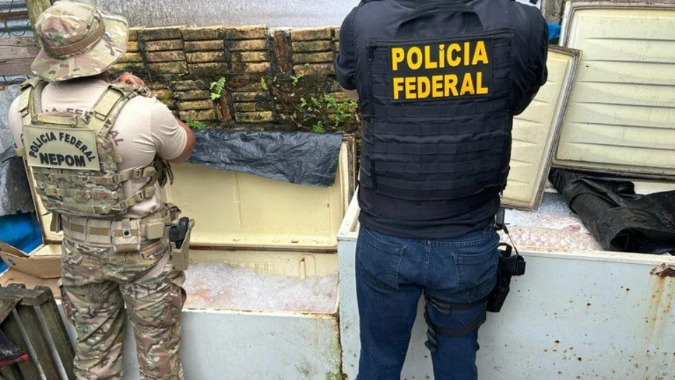 PF apreende mais de 400 kg de pirarucu e oito pacas no Amazonas