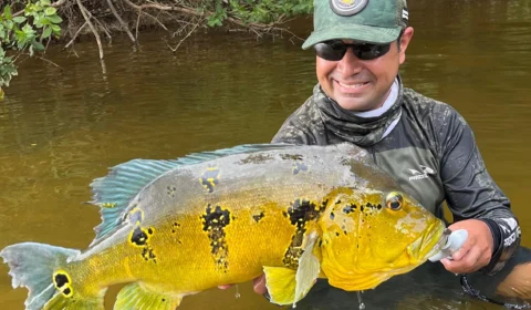 Pesca esportiva: roraimense captura espécie de tucunaré de 63 cm e quebra recorde brasileiro