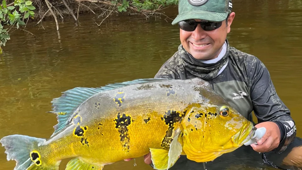 Pesca esportiva: roraimense captura espécie de tucunaré de 63 cm e quebra recorde brasileiro