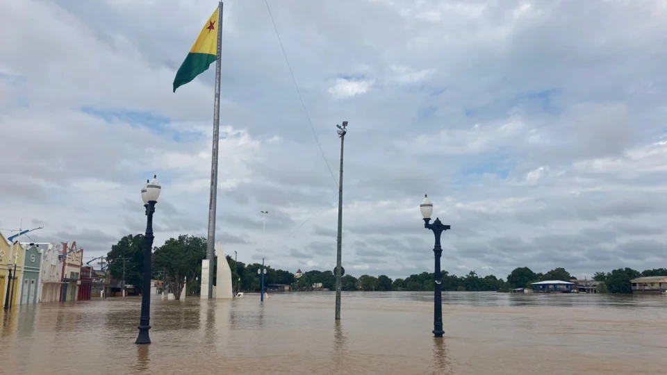 Artista demonstram solidariedade as vítimas de enchente no Acre