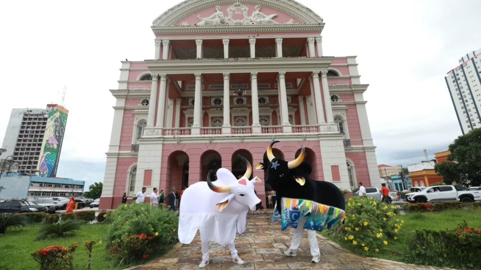 Festival de Parintins: ensaio dos bumbás começa em abril