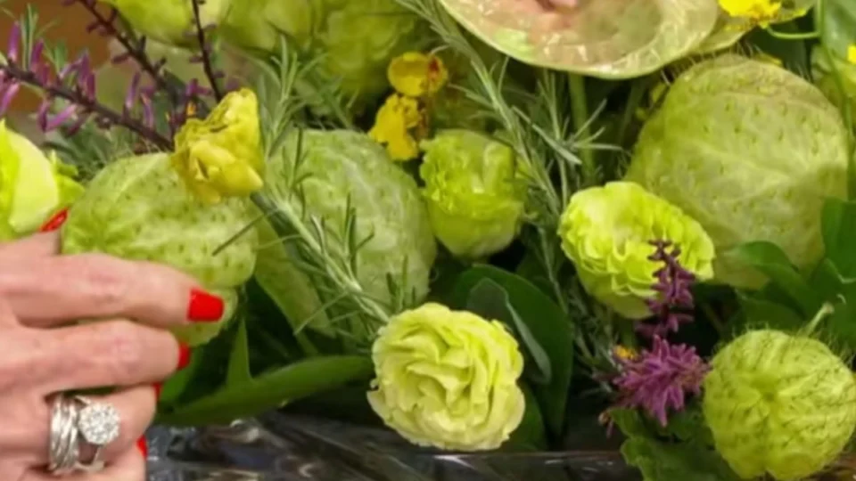 Ana Maria se diverte ao falar sobre planta com formato inusitado: “Saco de velho”