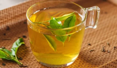 Chá de folha de mamão: veja 5 benefícios para a saúde