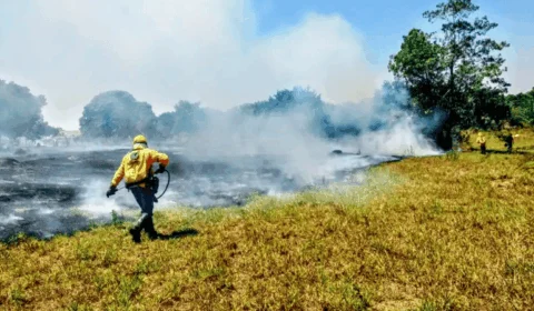 Cientistas na Câmara citam ‘colapso climático’ e cobram medidas