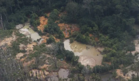 Congresso analisa crédito de R$1,62 bi para território Yanomami
