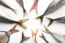 5 peixes para evitar o consumo