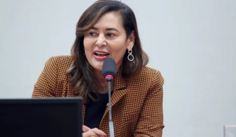 Deputada paraense apresenta projeto para alterar Lei Maria da Penha