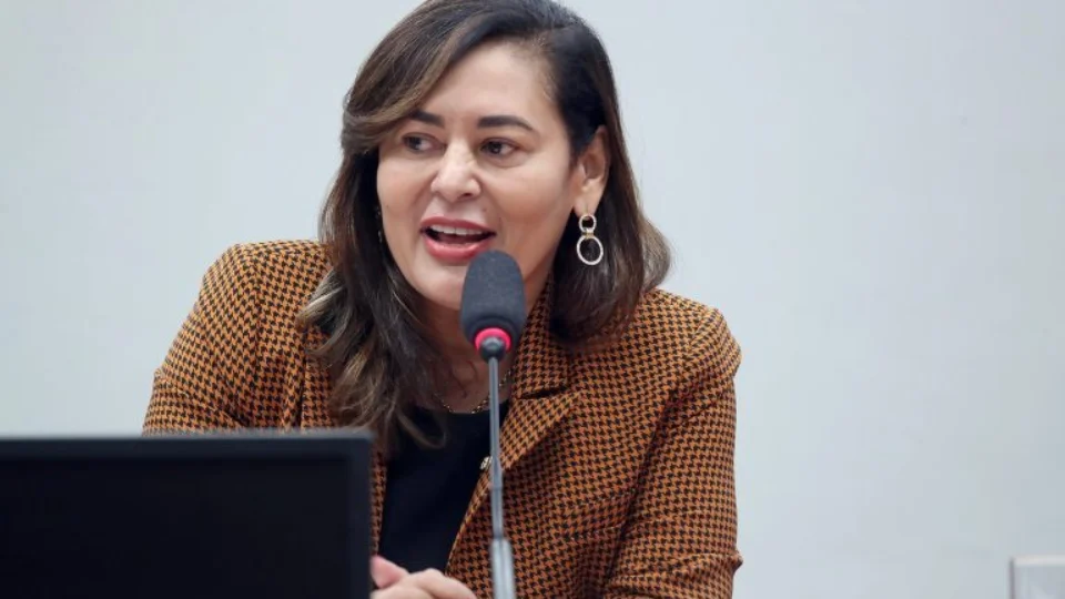 Deputada paraense apresenta projeto para alterar Lei Maria da Penha