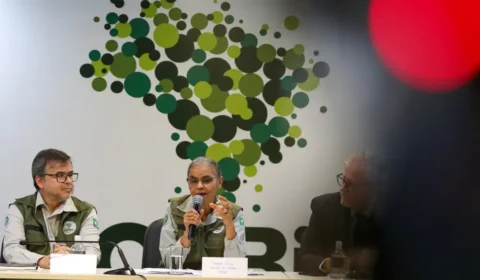 Bolsa verde: mais de 80 áreas são incluídas ao programa