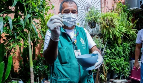 Arboviroses: Manaus tem 12 novos casos e quase 2 mil infectados