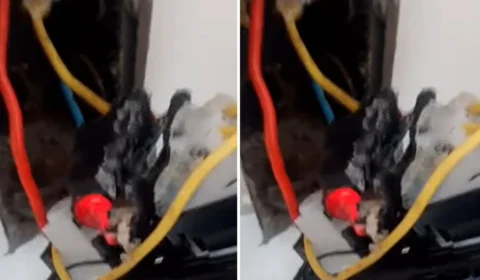 Adolescente se desespera ao encontrar câmera no banheiro de casa alugada