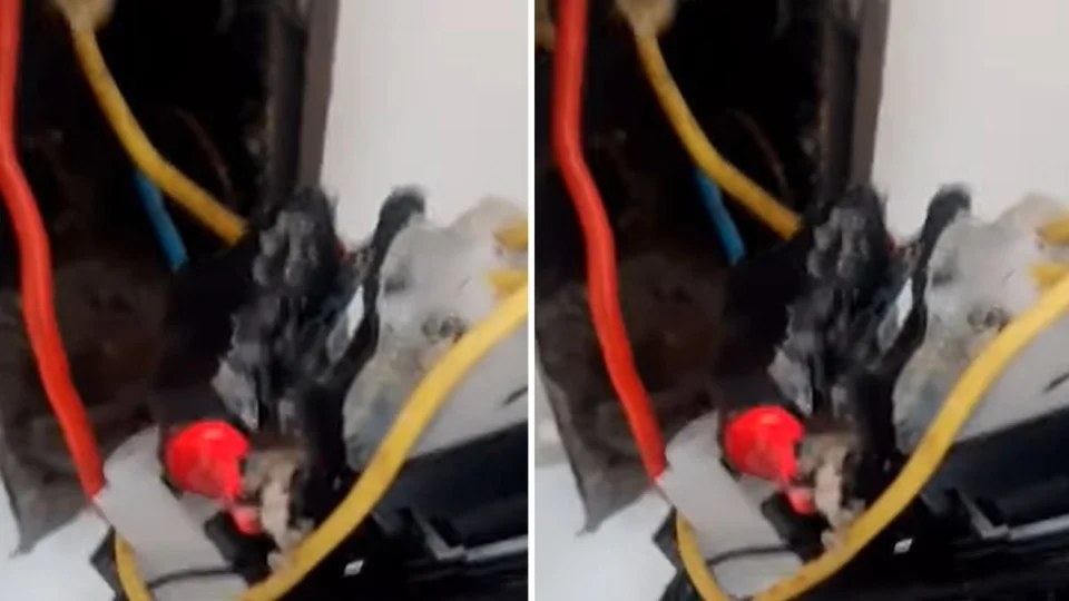 Adolescente se desespera ao encontrar câmera no banheiro de casa alugada