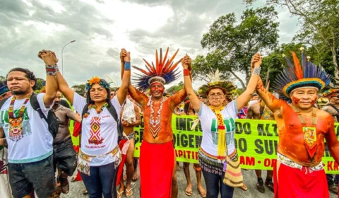 Coiab espera maior diversidade no ATL 2024 e mobiliza povos da Amazônia