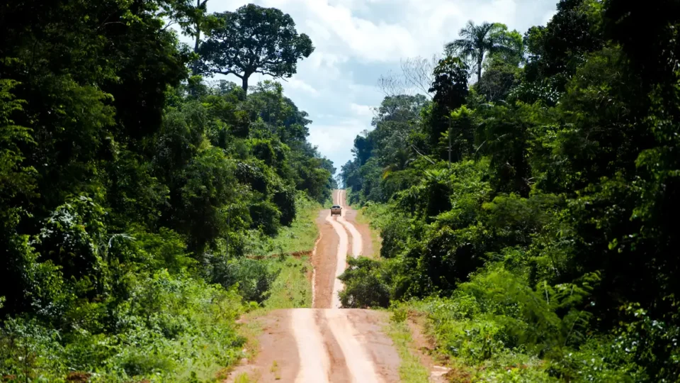 Degradação na Amazônia é três vezes maior que desmatamento