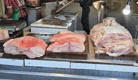 Mais de 400 quilos de pirarucu ilegal são apreendidos no AM