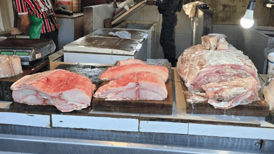 Mais de 400 quilos de pirarucu ilegal são apreendidos no AM