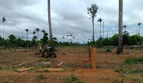 Homem considerado um dos maiores desmatadores do Pará é preso