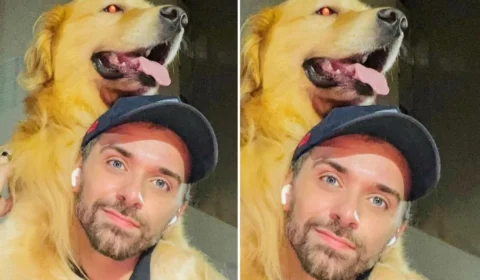 Dono faz desabafo e detalha morte de cachorro por erro de companhia aérea