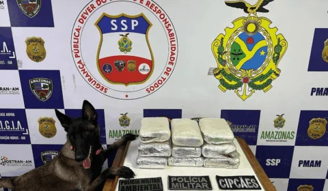 Grupo é preso por transportar mais de 11 kg de drogas no AM