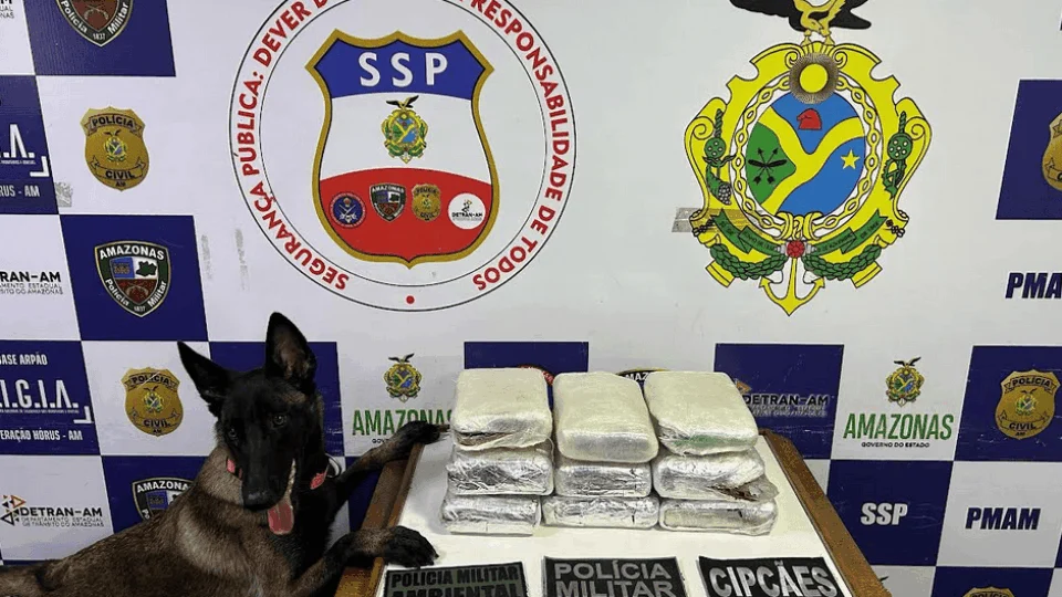 Grupo é preso por transportar mais de 11 kg de drogas no AM