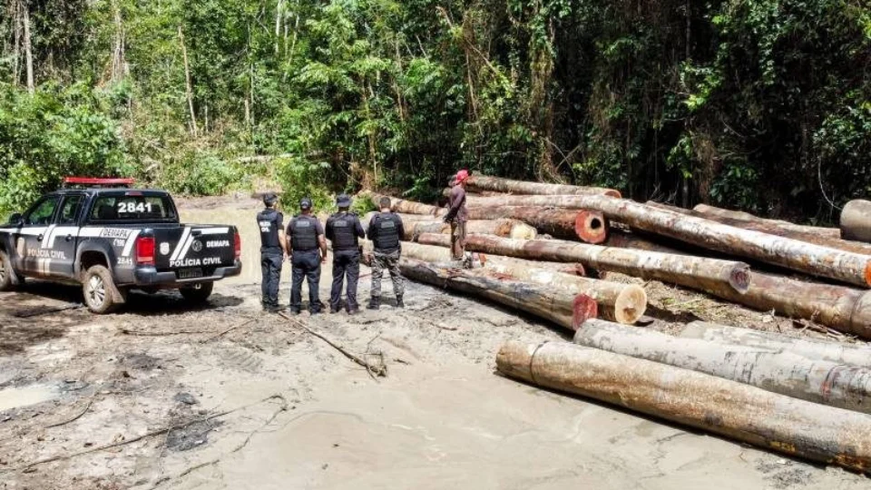 Operação identifica desmatamento ilegal e fecha madeireira no Pará