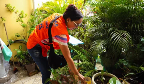 Boletim confirma 18 casos de dengue e 4 de febre Oropouche em Manaus