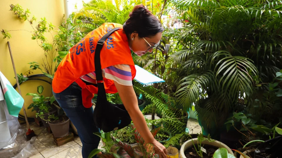 Boletim confirma 18 casos de dengue e 4 de febre Oropouche em Manaus
