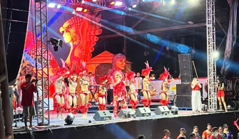 Norte Bumbás 2024 acontece no dia 14 de junho