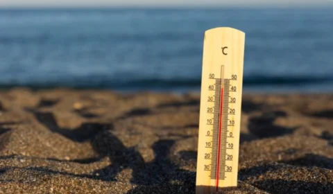 6 estados brasileiros recebem alerta sobre onda de calor extremo; veja lista