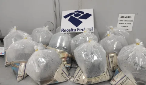 Advogada que tentava embarcar com arraias para SP é solta após pagar fiança