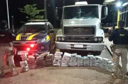 Caminhoneiro de SP é preso com 103 kg de skunk em rodovia do AC