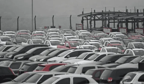 Três meses de greve no Ibama afeta exportação de carros