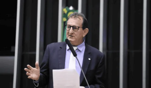 Projeto proíbe comércio de animal silvestre ou exótico como pet