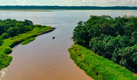Onde nasce o Rio Amazonas? Descubra 5 curiosidades