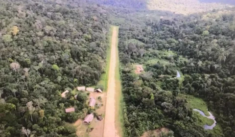 Derrubado veto que abre caminho para regularização de terras na Amazônia