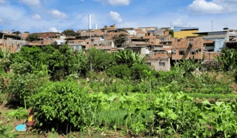 Prazo para municípios participarem do Alimenta Cidades é prorrogado