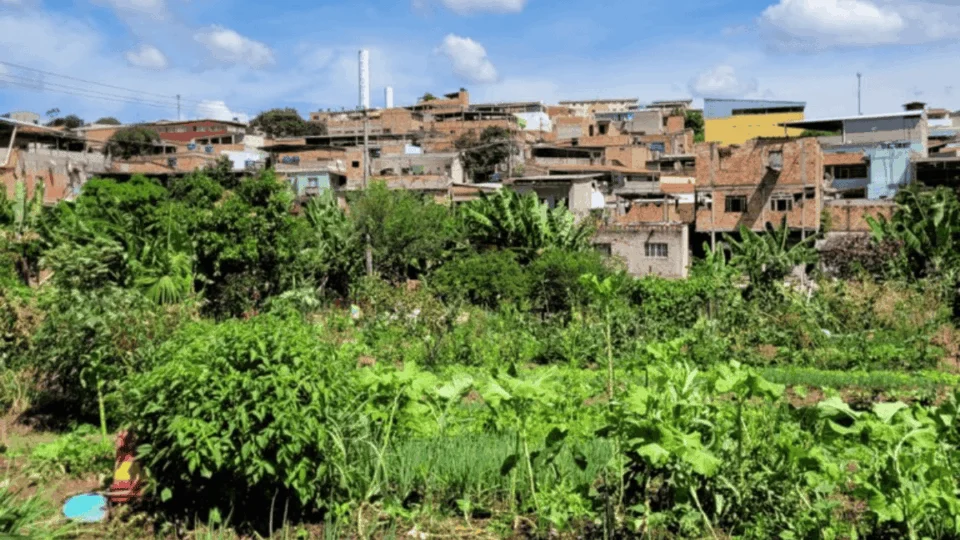 Prazo para municípios participarem do Alimenta Cidades é prorrogado