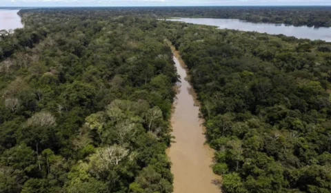 Rio Amazonas registra níveis abaixo da normalidade, alerta SGB