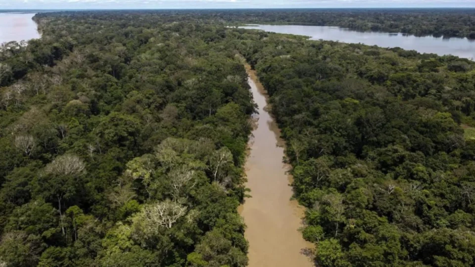 Rio Amazonas registra níveis abaixo da normalidade, alerta SGB