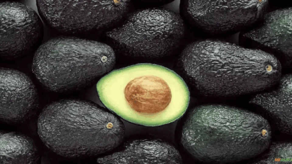 Benefícios do abacate: veja efeitos da fruta na saúde