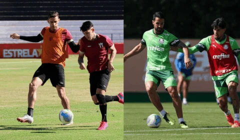 Botafogo-SP x Palmeiras: onde assistir e escalações do jogo desta quinta (23)