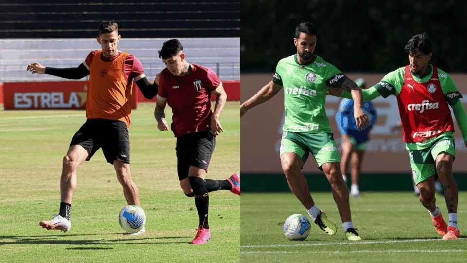 Botafogo-SP x Palmeiras: onde assistir e escalações do jogo desta quinta (23)