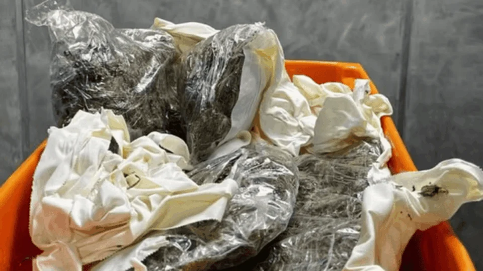 Mulher é detida com 1kg de maconha no Aeroporto de Manaus