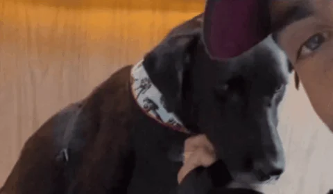 Pedro Scooby adota cachorro resgatado no Rio Grande do Sul