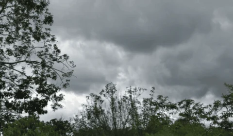 Amazonas terá friagem mais intensa do ano a partir desta terça; veja previsão